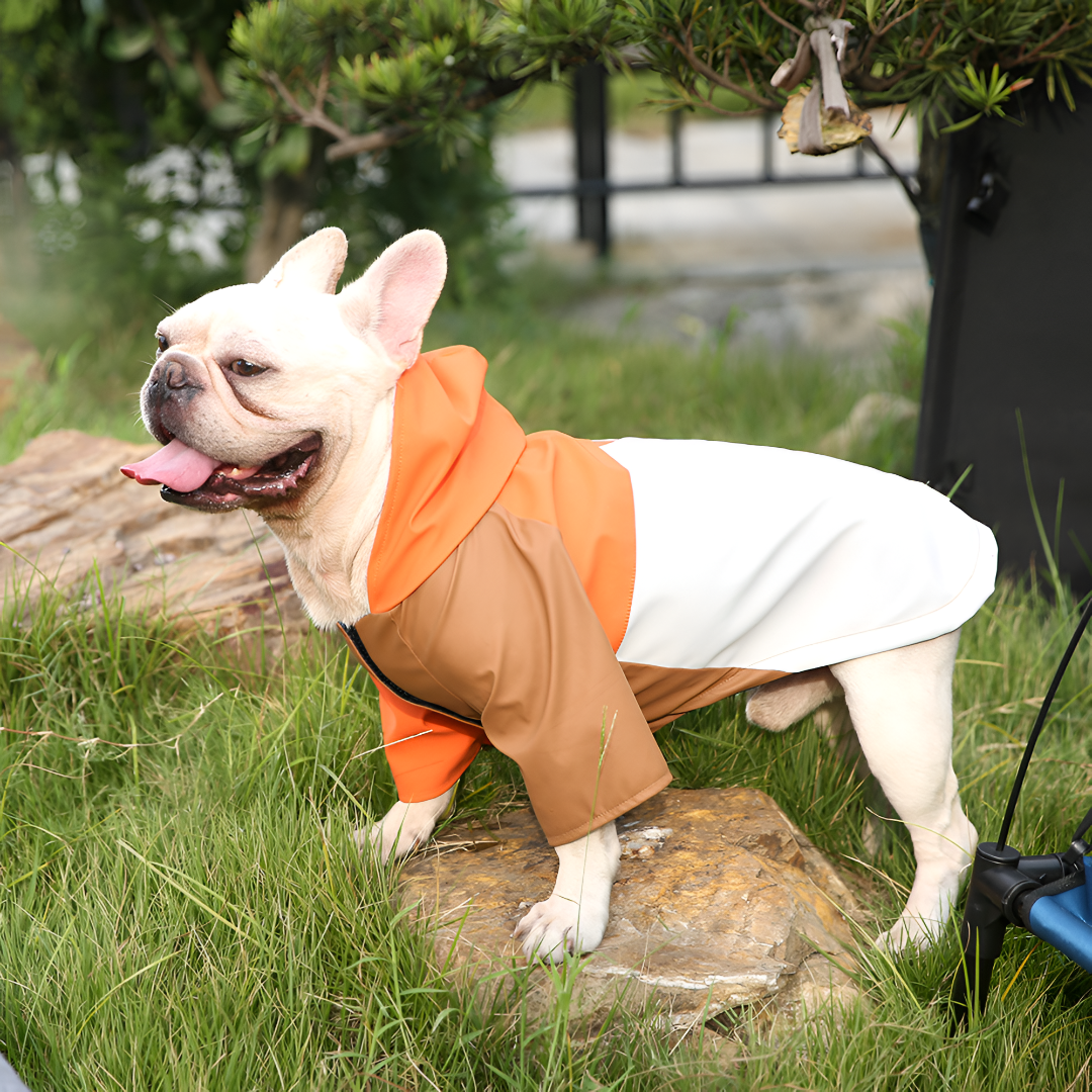 Comfortable Clothing for Every Season
